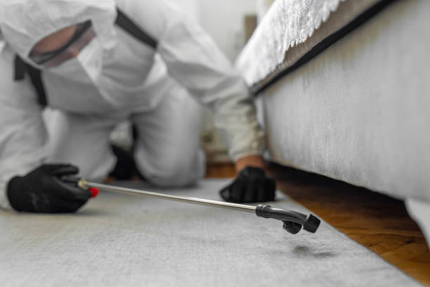Professional Wasp Control technician working in Canal Fulton, OH