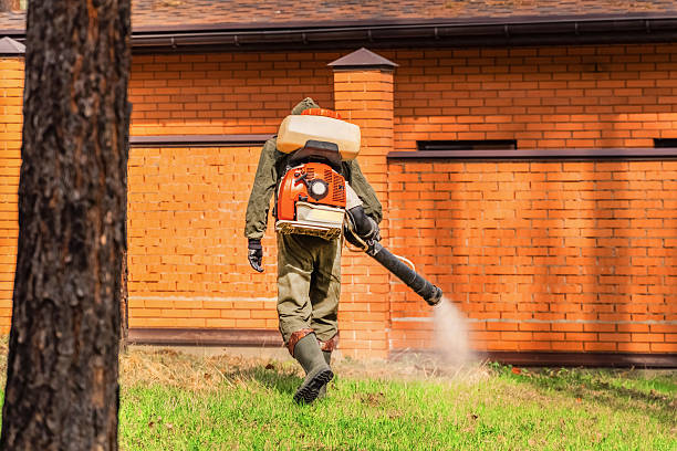 Trusted Emergency Pest Control service in Canal Fulton, OH - Nex Pest Control